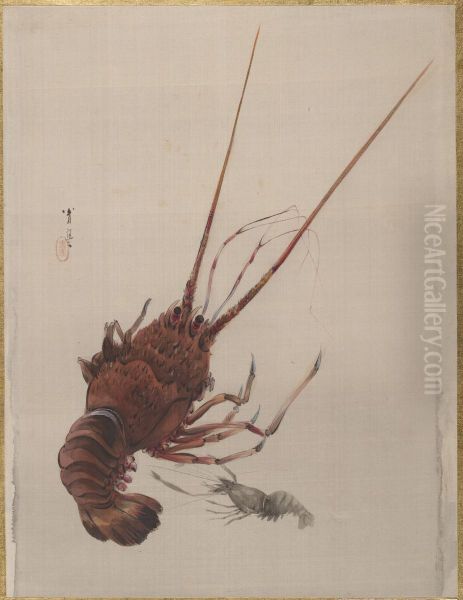 Crayfish - view 1