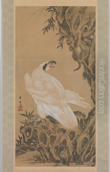 White Eagle Eyeing a Mountain Lion - view 1