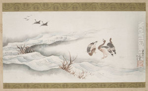 Wild Geese and Water Wild Geese and Water