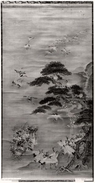 Flock of Cranes - view 1