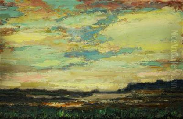A Sunset Over A Swamp - view 1