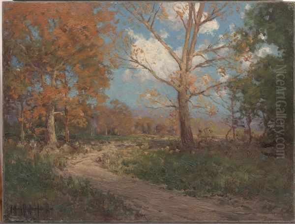 October Sunlight - view 1