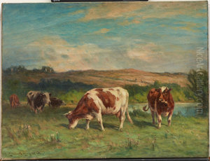 Lyme Pastures
