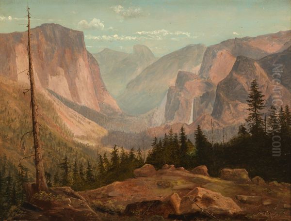 In the Sierra Nevada Mountains - view 1