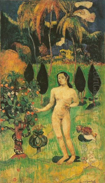 Eve exotique - view 1