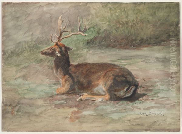 Cerf couche - view 1