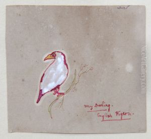 English Pigeon