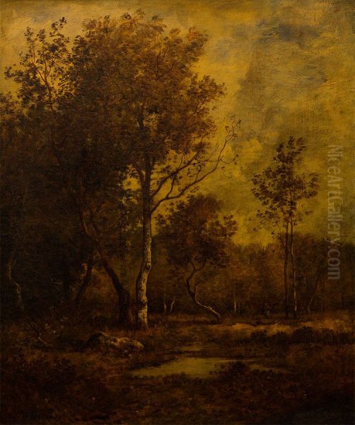 Landscape - view 1