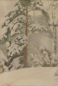 Honka lumessa (fi); Pine Tree in Snow (en); Furan i snon (sv) by unknown