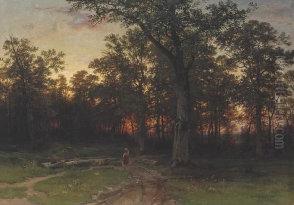 Forest in the evening - view 1