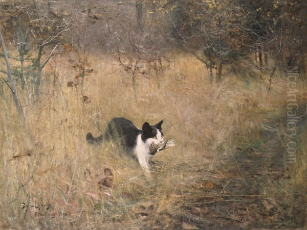 Katt pa fageljakt - view 1
