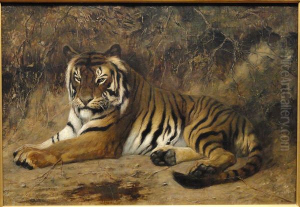 Tiger - view 1