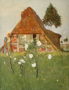 Abendsonne im Moor by unknown