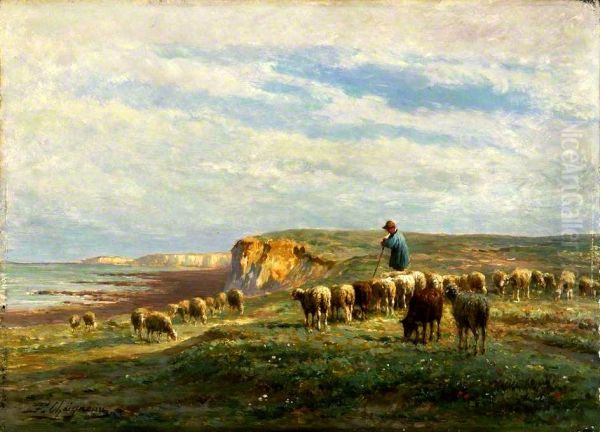 Troupeau de moutons - view 1
