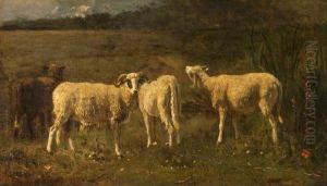 Sheep by Constant Troyon