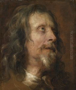 Study head of a bearded man by Sir Anthony Van Dyck