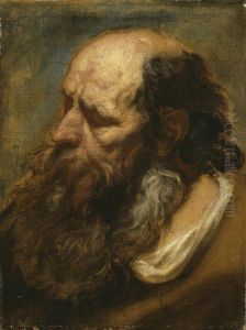 Study head of an old bearded man by Jacob Jordaens
