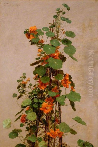 Nasturtiums - view 1
