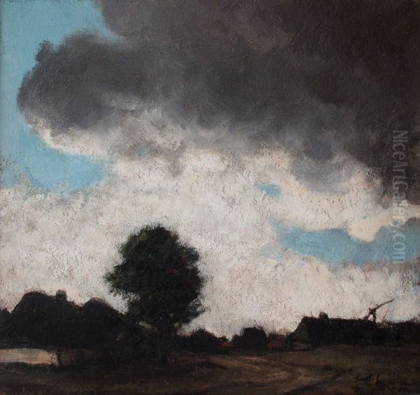 Kempens landschap - view 1