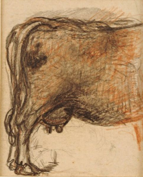 Detailstudie van een koe - view 1
