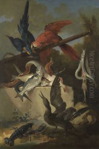 Fische, Seevogel und Papageien by Jean-Baptiste Oudry