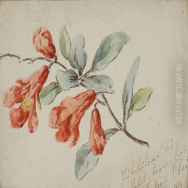 Two Flower Studies - view 1