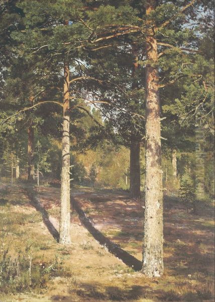 The Sun Lit Pines - view 1