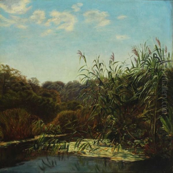 Glade With Lake - view 1