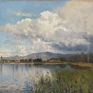 Summer Day Near Jonkoping, Sweden