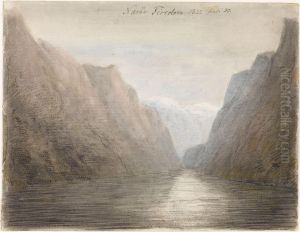 Fra Naeroyfjorden by Hans Linstow