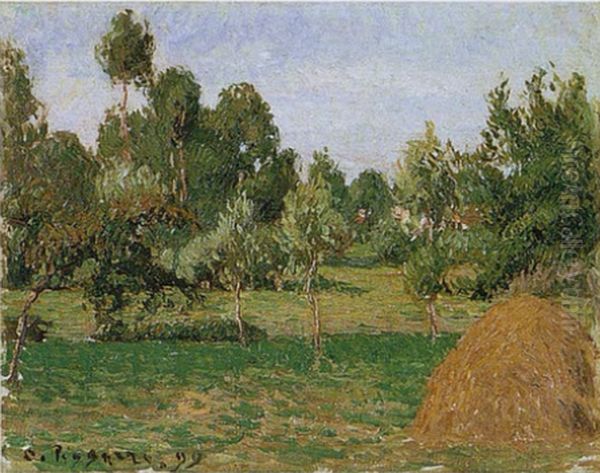Wiese im Hintergrund mit Heuhaufen rechts - view 1
