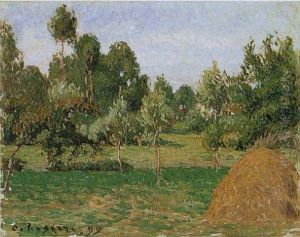 Wiese im Hintergrund mit Heuhaufen rechts by Camille Pissarro