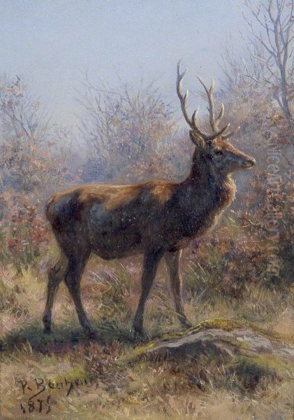The Stag - view 1