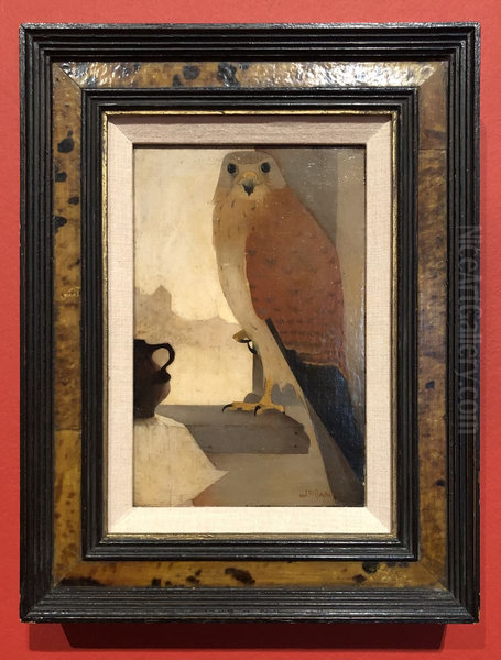 Kestrel - view 1