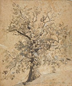 Baumstudie by Johann Christian Ziegler