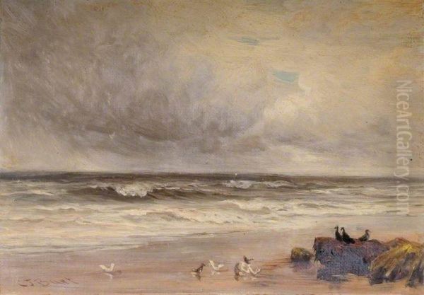 Sea Coast - view 1