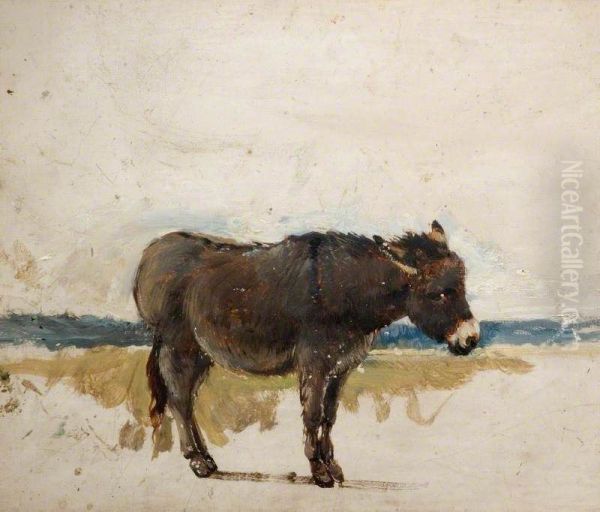 Study of a Donkey - view 1