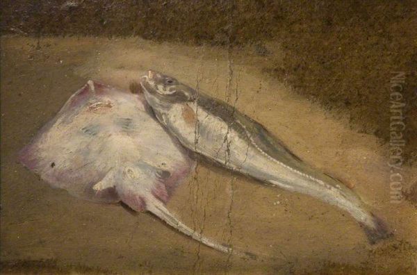 Skate and Cod - view 1
