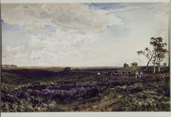 The Road Across the Moor - view 1