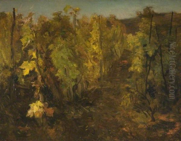 La Vigne [The Vine] - view 1