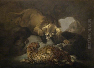 Lion And A Leopard Lion And A Leopard