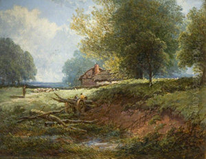 Meadow Scene Meadow Scene