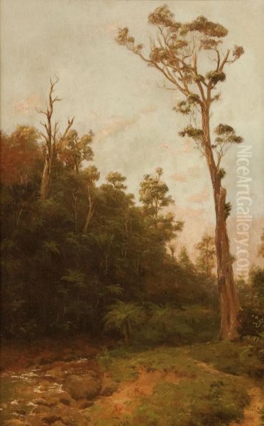 Bush Stream - view 1