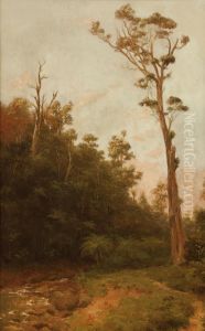 Bush Stream by Ernest William Christmas