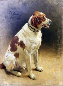 <<Sobaka>> by Repin Iliya