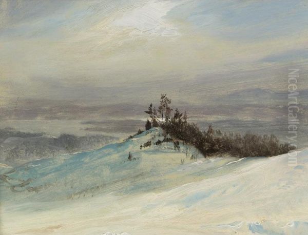 Winter On The Hudson River Near Catskill, New York - view 1