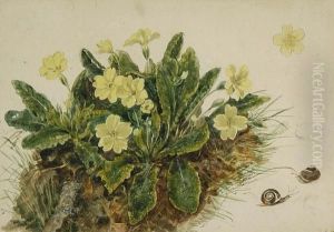 Primroses On A Bank Primroses On A Bank