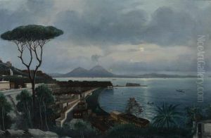 Bay Of Naples by Vincenzo Ciappa