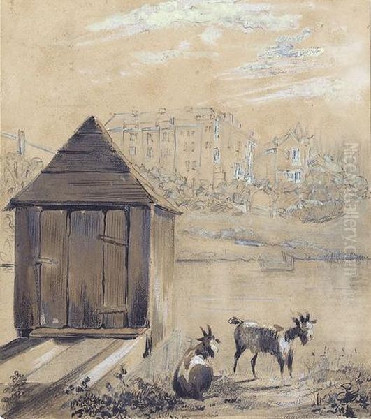 Flusspartie Mit Badehaus Und Zwei Ziegen - view 1