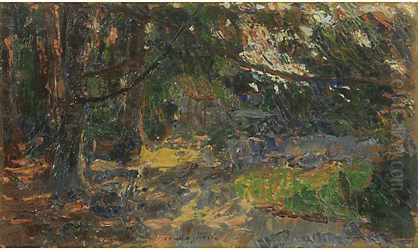 Bosco - view 1